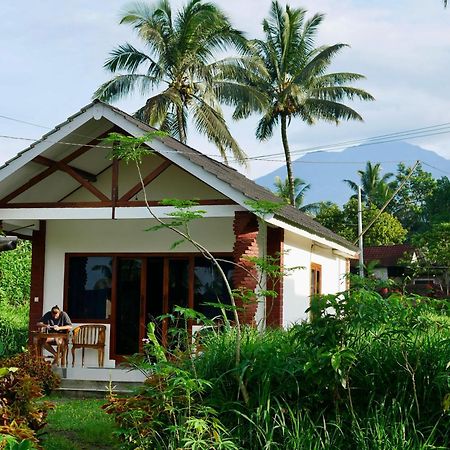 Rice Field Inn - Lombok Tetebatu Esterno foto