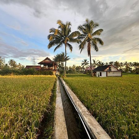 Rice Field Inn - Lombok Tetebatu Esterno foto