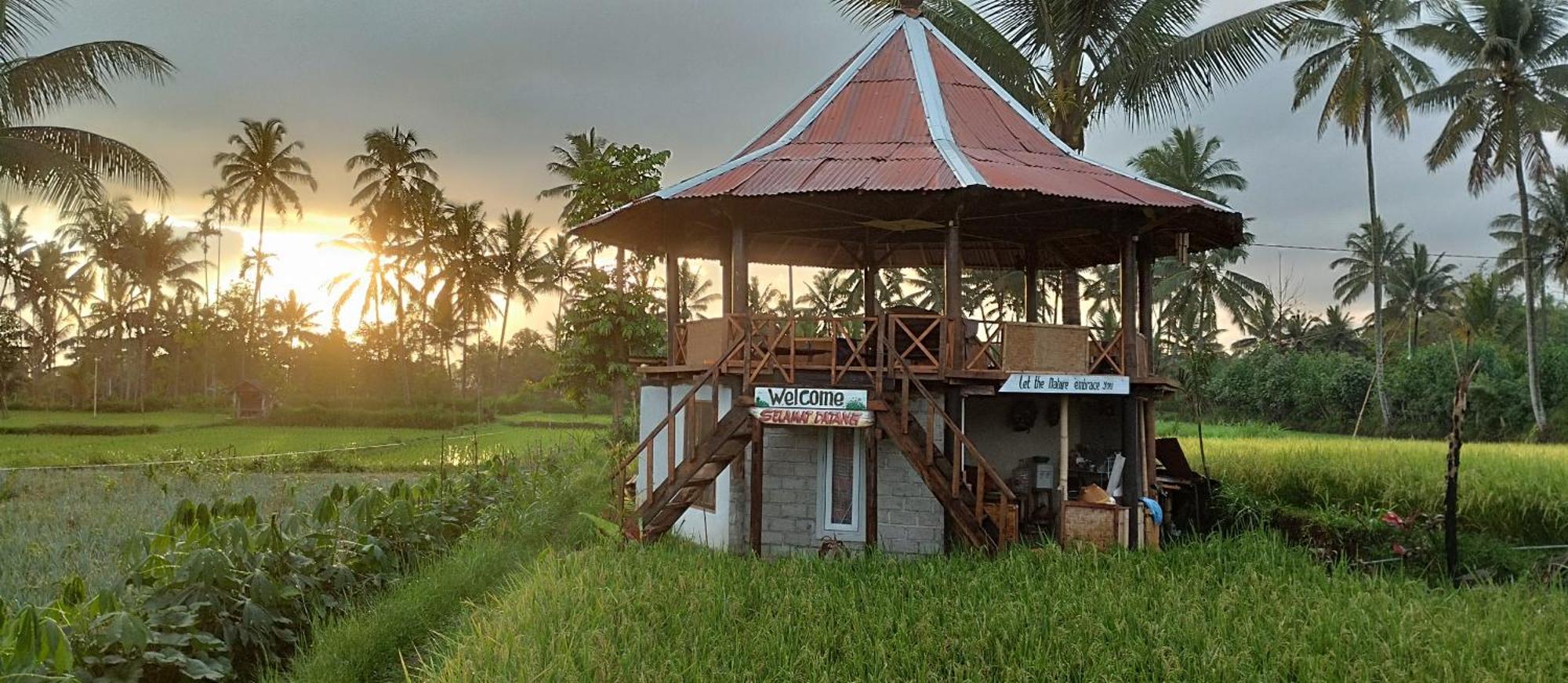 Rice Field Inn - Lombok Tetebatu Esterno foto