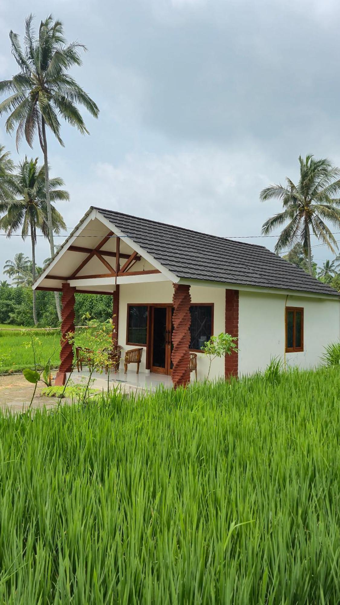 Rice Field Inn - Lombok Tetebatu Esterno foto