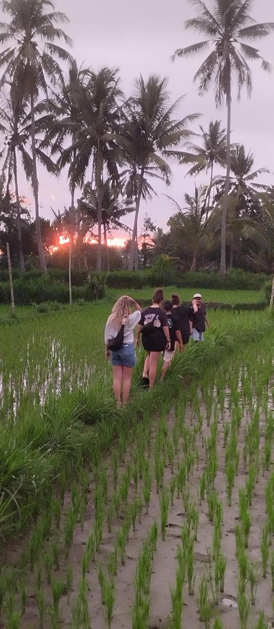 Rice Field Inn - Lombok Tetebatu Esterno foto