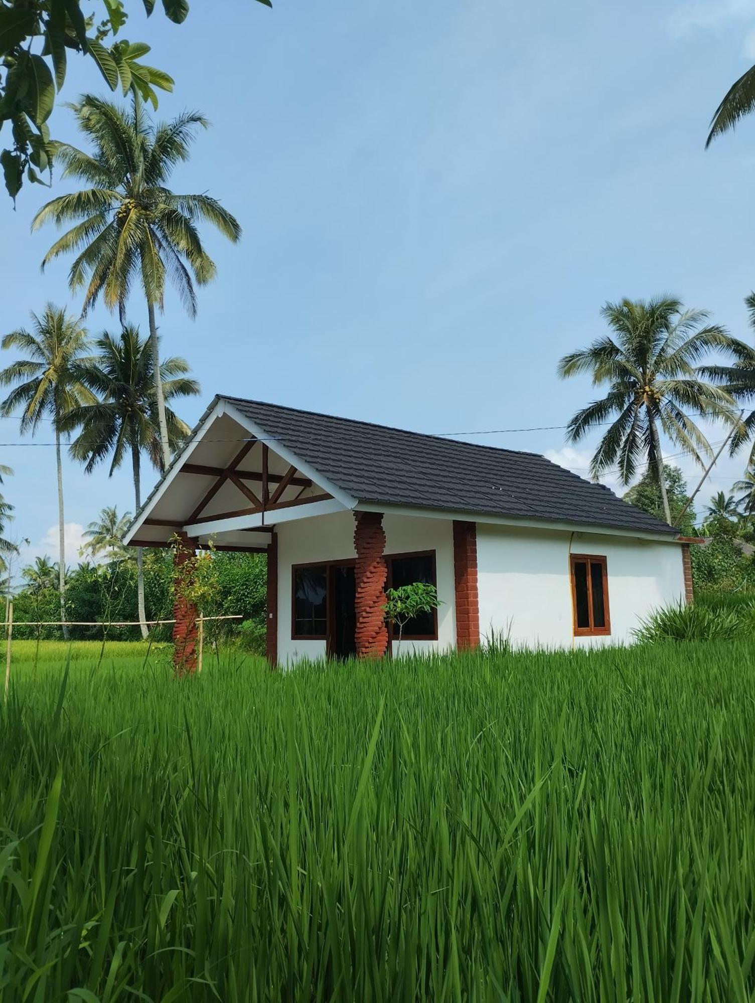 Rice Field Inn - Lombok Tetebatu Camera foto