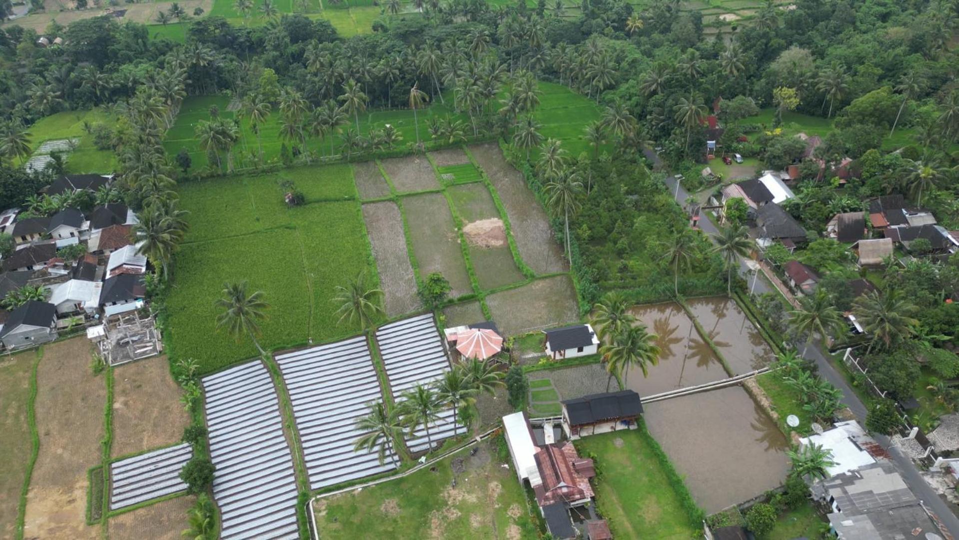 Rice Field Inn - Lombok Tetebatu Esterno foto