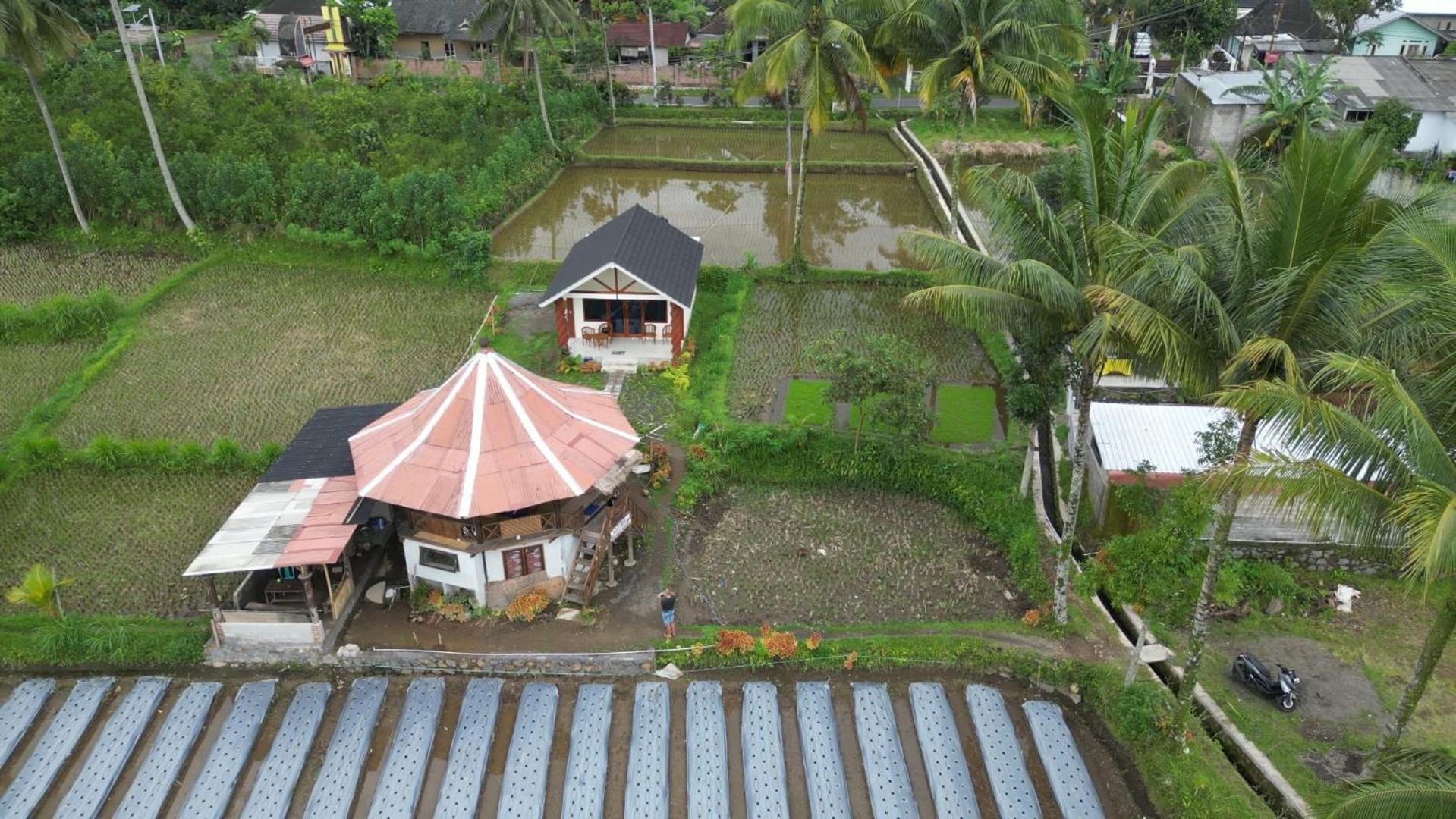 Rice Field Inn - Lombok Tetebatu Esterno foto