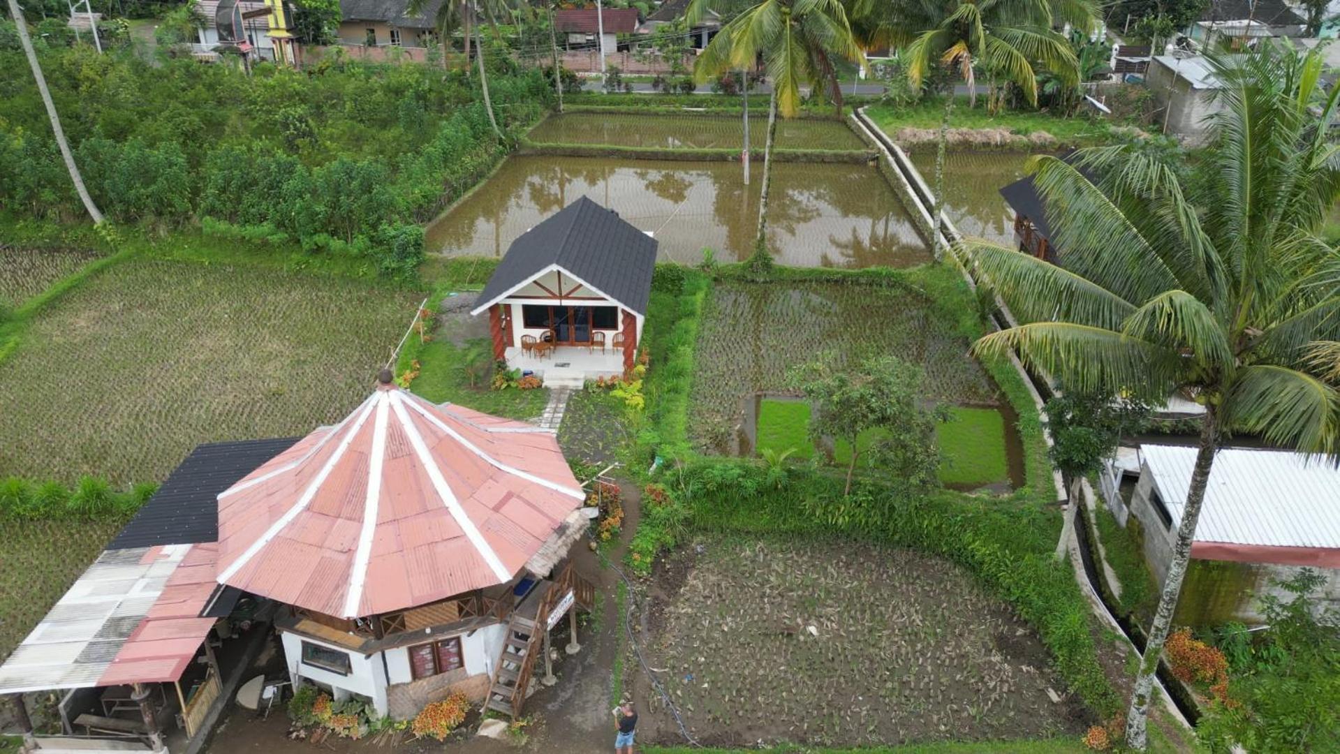 Rice Field Inn - Lombok Tetebatu Esterno foto