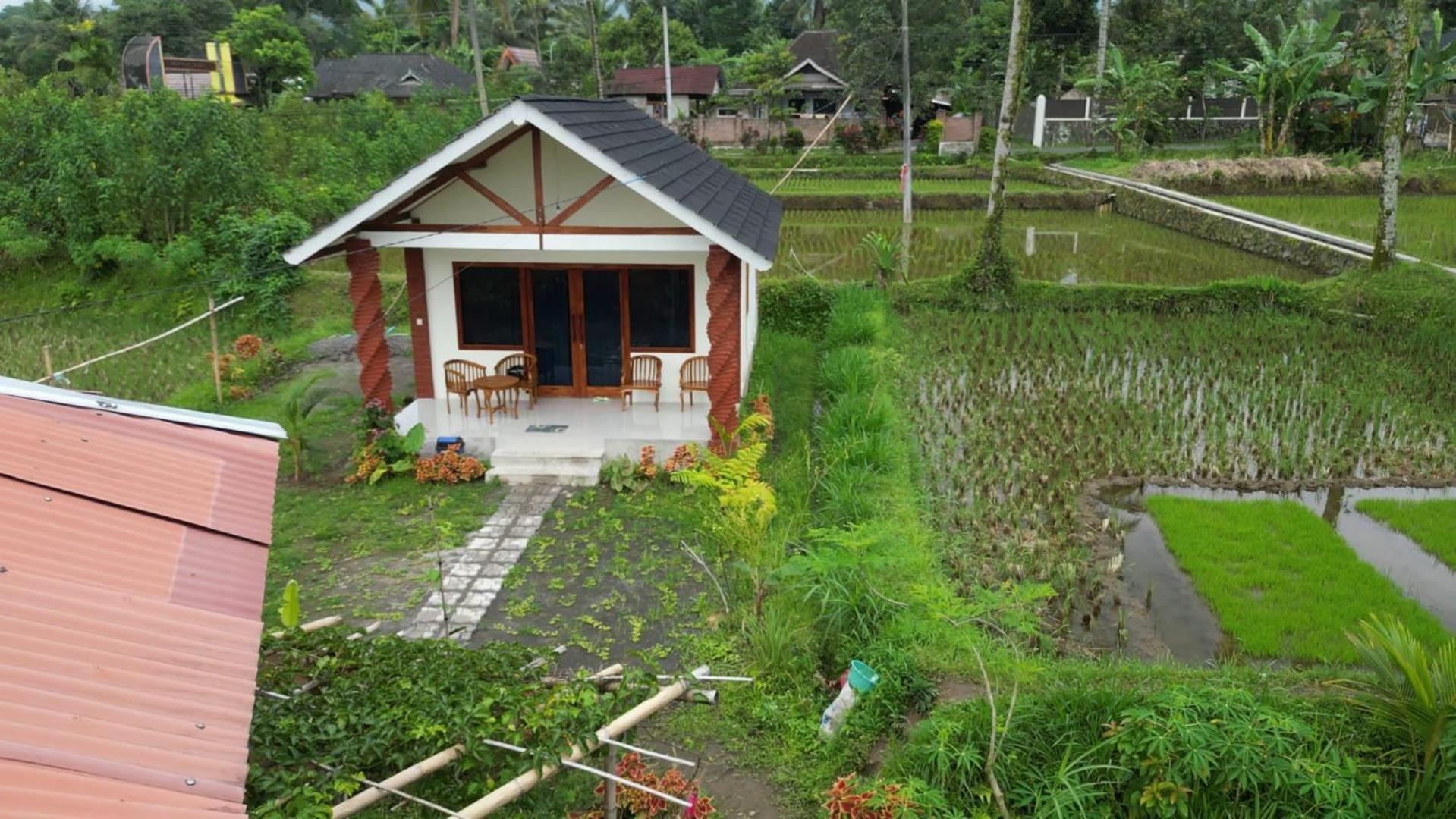 Rice Field Inn - Lombok Tetebatu Esterno foto