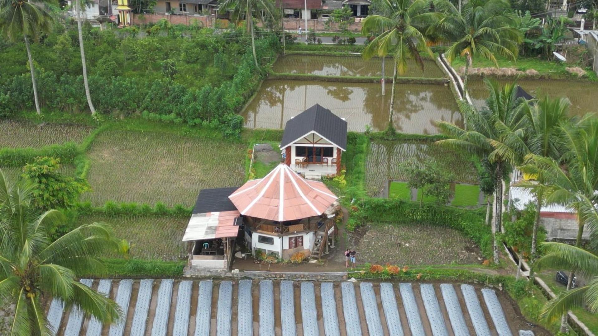 Rice Field Inn - Lombok Tetebatu Esterno foto