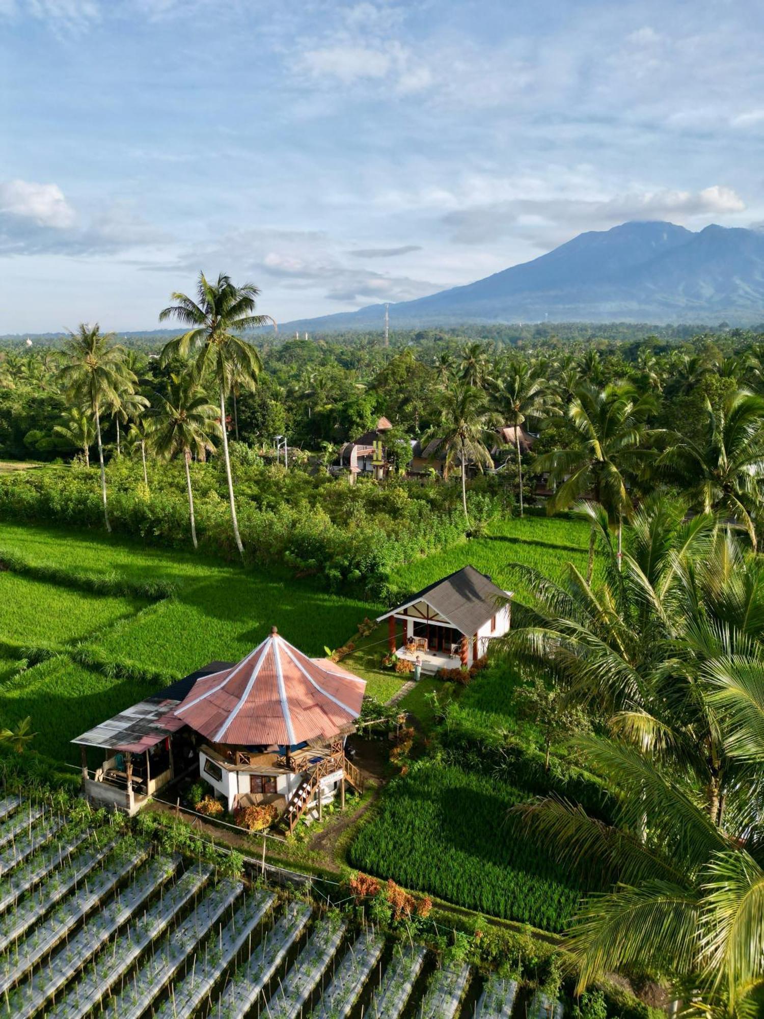 Rice Field Inn - Lombok Tetebatu Esterno foto