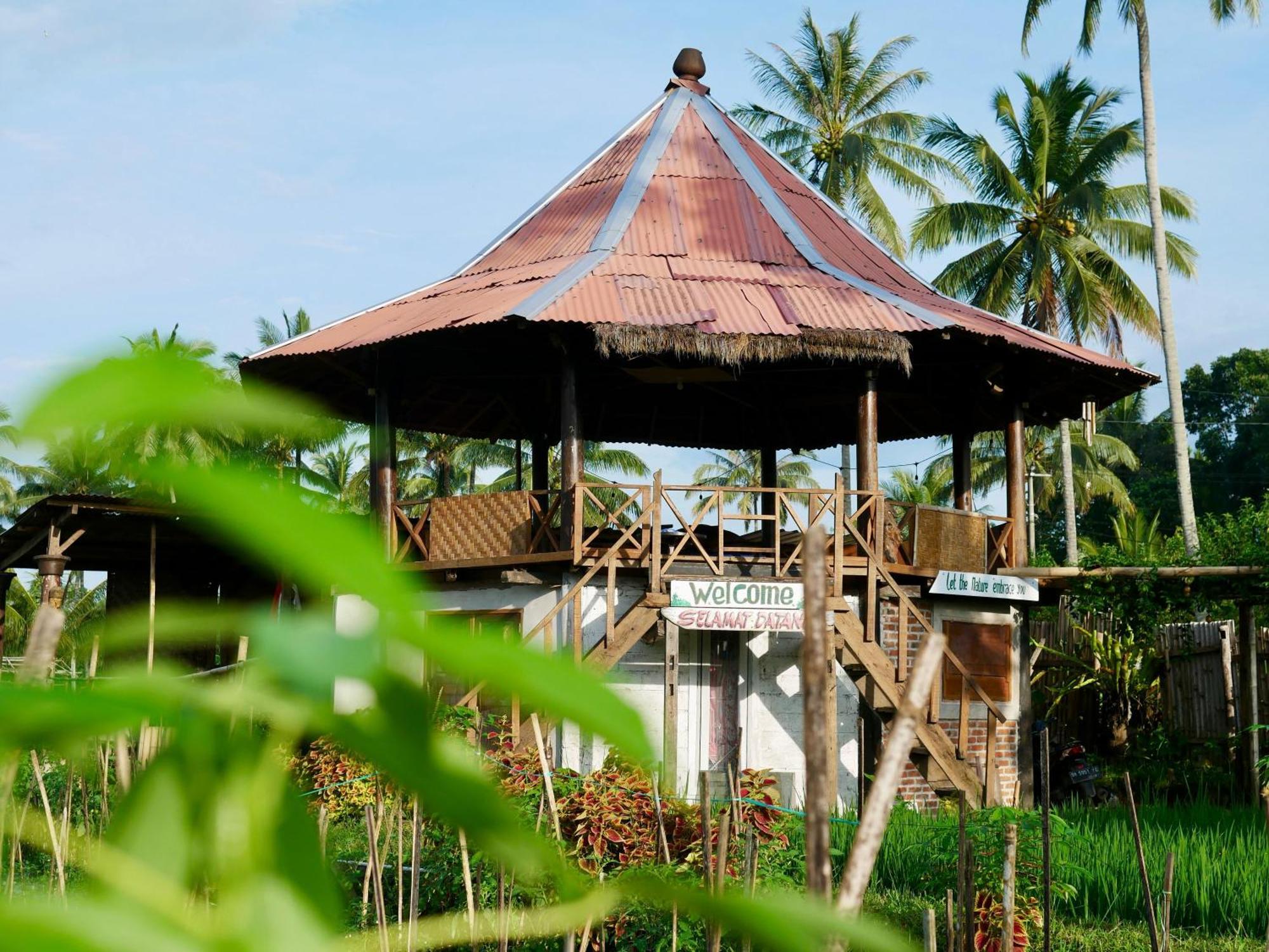 Rice Field Inn - Lombok Tetebatu Esterno foto