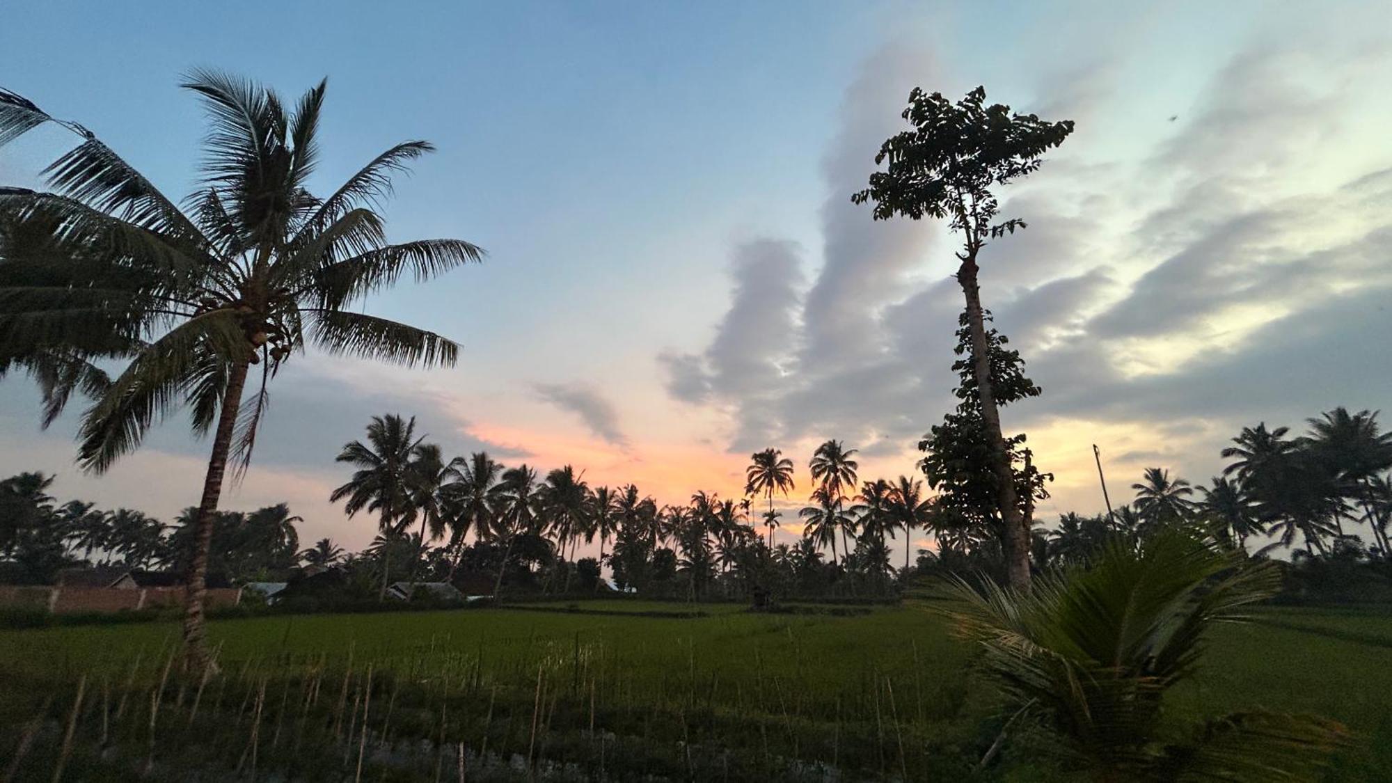 Rice Field Inn - Lombok Tetebatu Esterno foto